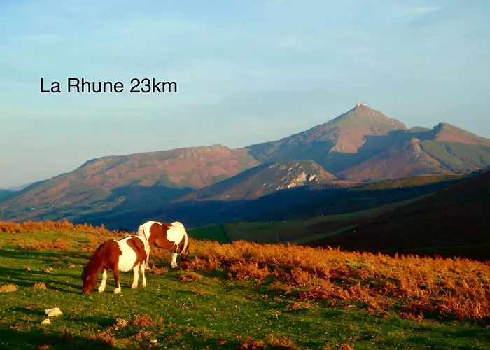 דירה Baskoparadis I I I Calme I Lumineux I Lit 160 I Terrasse I Jardin *